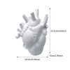 Vase In The Shape Of Human Heart, Home Decoration, Desktop Art Craft Ornament, Exquisite And High-end Indoor Vase, Organ Design Flower Container, Hall